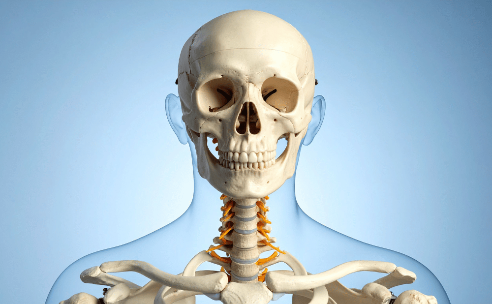 歯列矯正では改善しにくいケースもある